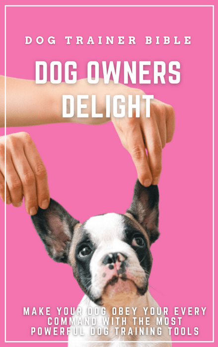 01. Dog Owner's Delight