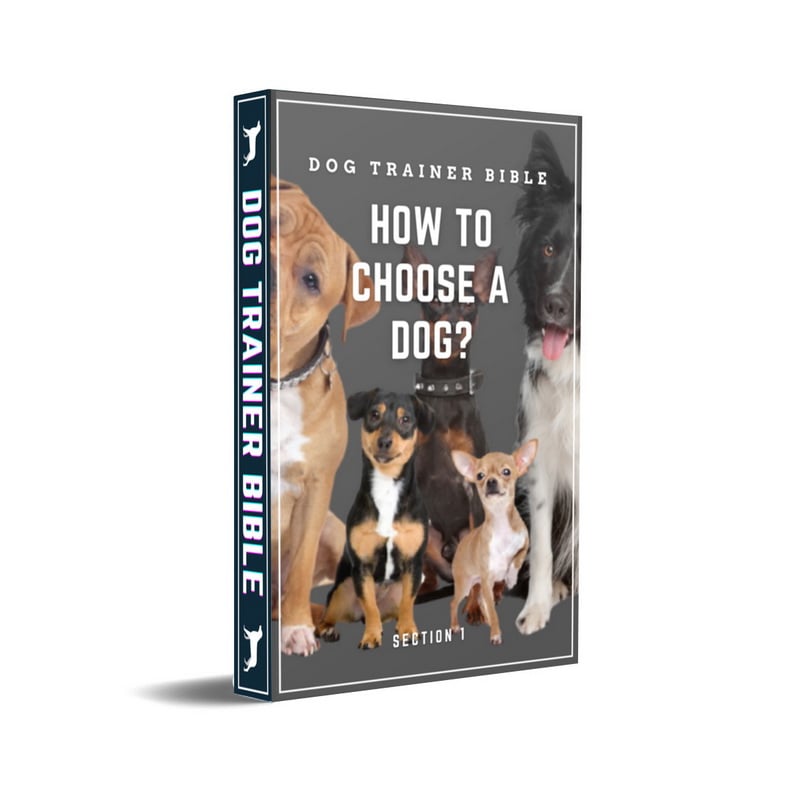 Dog Trainer Bible - Section 1