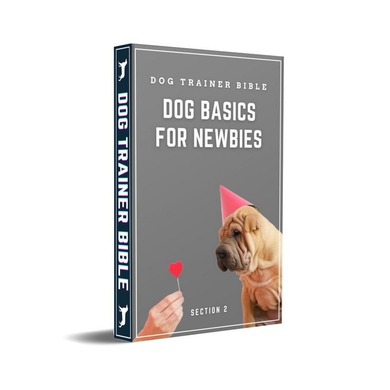 Dog Trainer Bible - Section 2