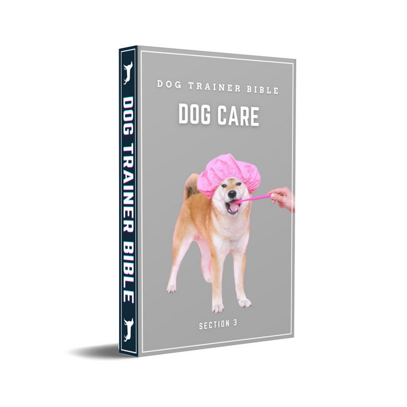 Dog Trainer Bible - Section 3