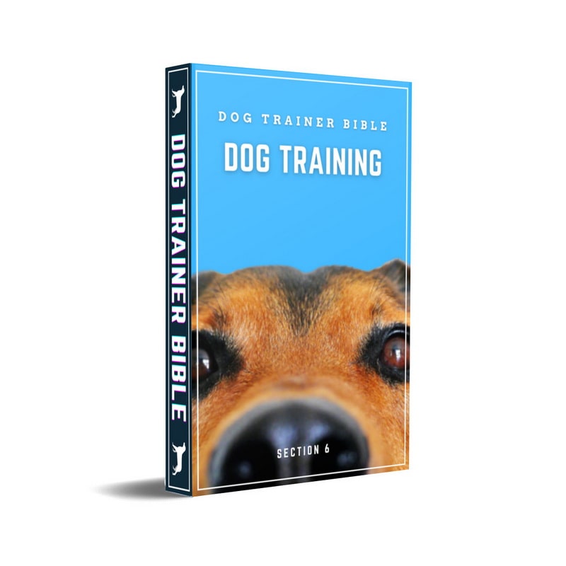Dog Trainer Bible - Section 6